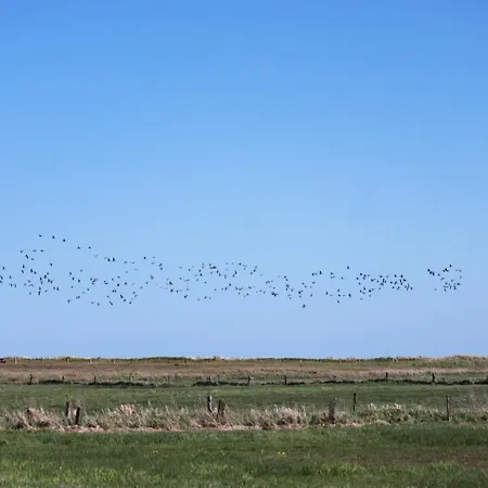 'falshoeft' - Refugium Pottloch Ostsee * Kronsgaard